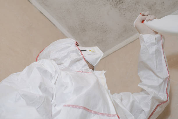 Best Residential Mold Removal  in Cambridge, MN